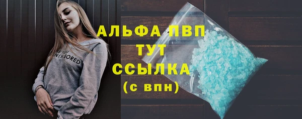 дживик Абаза