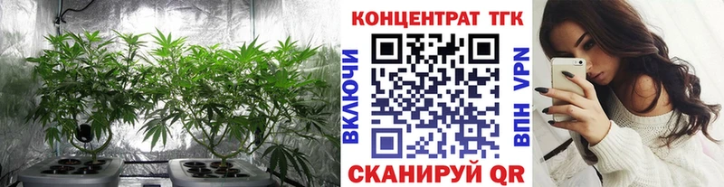 Дистиллят ТГК концентрат Брюховецкая
