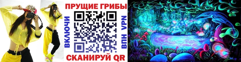 Галлюциногенные грибы Cubensis  где купить наркоту  Брюховецкая 